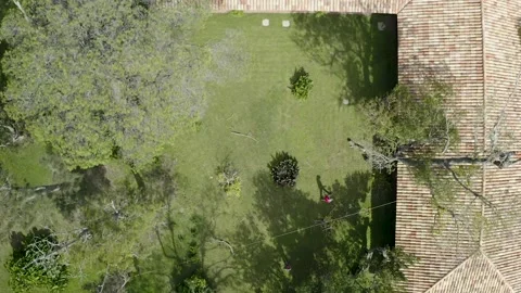 Professional arborist with hand saw in a tree pruning Video stock 160502810