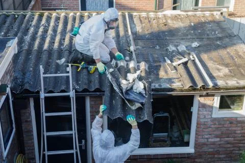 Professional asbestos removal. Stock Photos