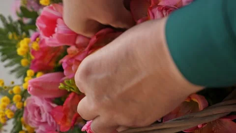 A professional assembles flower arrangement with mimosa and tulip. Stock Footage 237623088