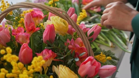 A professional assembles flower arrangement with mimosa and tulip. Stock-Footage 237623521