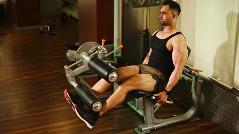 Professional athlete bodybuilder working out in the gym. weight lifting worko Video stock 162656344