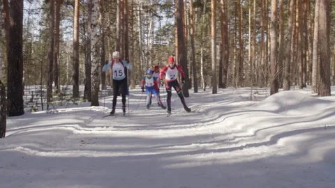 Professional Athletes Skiing in Forest Video stock 153071040