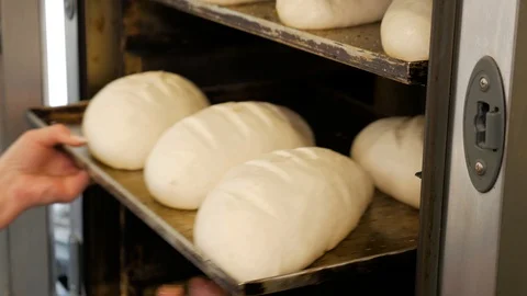 A professional baker putting a tray full of bread in a large industrial oven Stock Footage 109473163