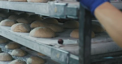 Professional bakers workers in bakery industry forming pieces of dough for Stock Footage 122936075