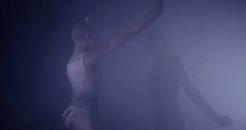Professional Ballerina White Tutu Studio Cinematic Stock Footage 275909514