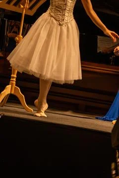 Professional ballet dancer in white tutu performing on stage in Vienna, Aus.. Stock Photos