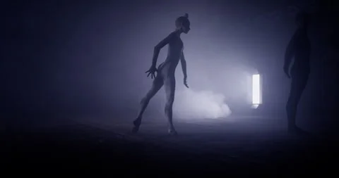 Professional Ballet Performance Graceful Movement Stock Footage 275930075
