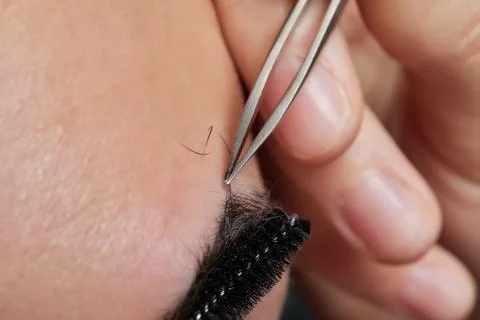 Professional barber doing threading procedure and correcting shape of eyebrows Stock Photos