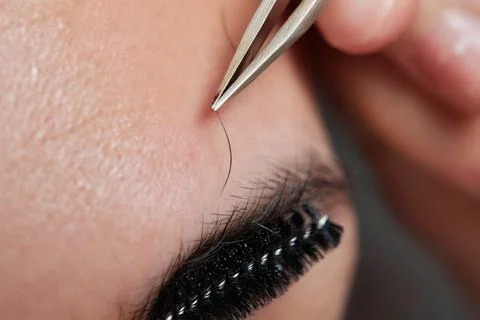 Professional barber doing threading procedure and correcting shape of eyebrows Stock Photos