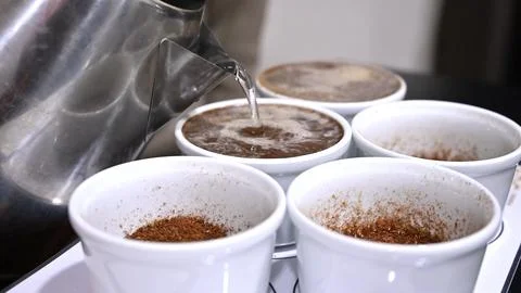 Professional barista tasting different types of coffee in cup tasters. Coffee Stock Photos
