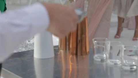 Professional bartender Stock Footage 100162324