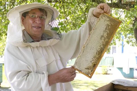 Professional beekeeper in protective workwear inspecting honeycomb frame at Stock Photos