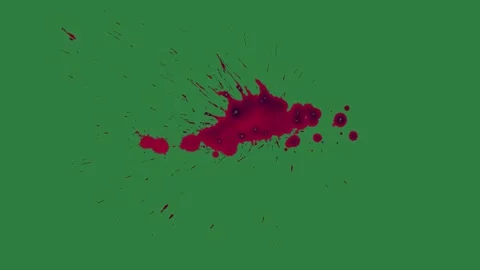Professional Bird Flying Green Screen Element Vidéo 338018115