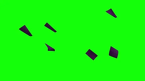 Professional Bird Flying with Sky Green Screen Element Stock Footage 345498729