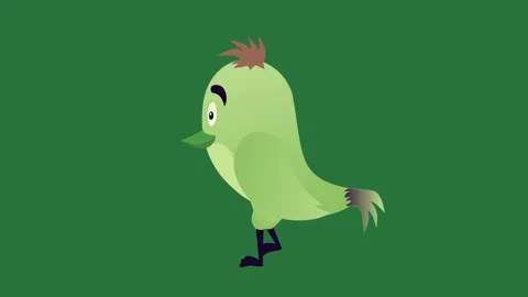 Professional Bird Standing Element Stock Footage 338017942