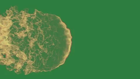 Professional Brain Dynamic Green Screen Element Stock Footage 338012775