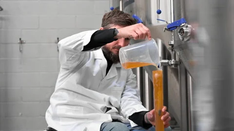 Professional brewmaster controlling craft beer production process in brewery Stock Footage 191104415