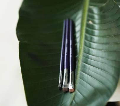 Professional brushes for brows closeup on isolated green leaves background Stock Photos