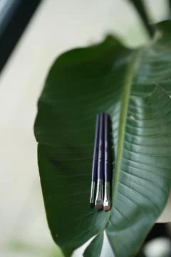 Professional brushes for brows closeup on isolated green leaves background Stock Photos