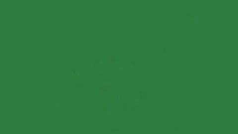 Professional Burst Looping Green Screen Element Stock Footage 338013813