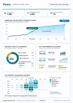 Professional business analytics report featuring growth curves, demographic s Stock Illustration