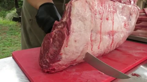 Professional Butcher Prepping Large Raw Beef Prime Rib Roast for Barbecue Stock Footage 338212915