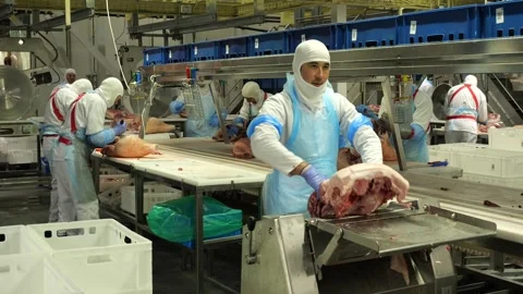 Professional butchering of pork at meat processing factory Stock-Footage 286234113