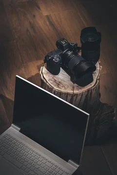Professional Camera on Tree Trunk and Laptop Foto stock