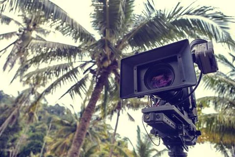 Professional camera on a tripod on the set against palm trees and sky Stock Photos