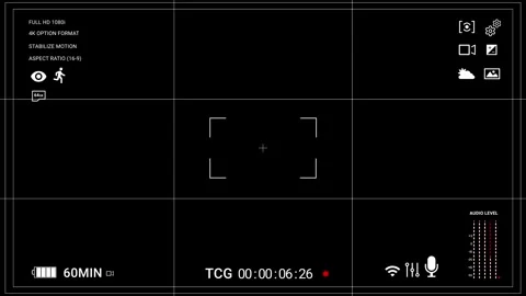 Professional camera viewfinder recording screen overlay Stock Footage 319841505