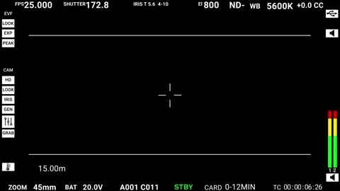 Professional camera viewfinder in standby mode overlay Stock Footage 319832070