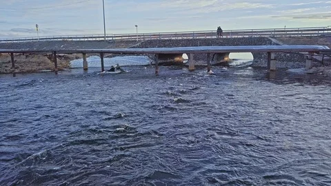 Professional canoeist sails under grey bridge and gaspipe Stock Footage 123864458