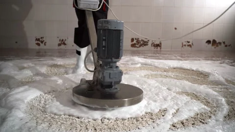 Professional carpet cleaning. Laundry worker in the process of carpet washing in Video stock 267906316