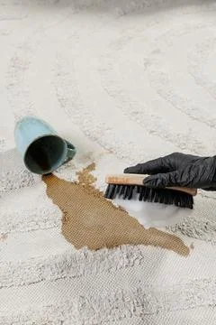 Professional Carpet Cleaning Process with Stain Removal Brush Stock Photos