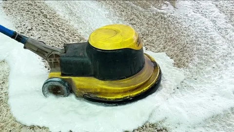 Professional carpet washing using special equipment. Stock Footage 254963283