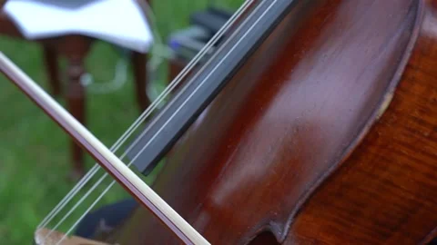 Professional cellist plays in an open area for guests. Guy plays the cello on th Stock Footage 201692546