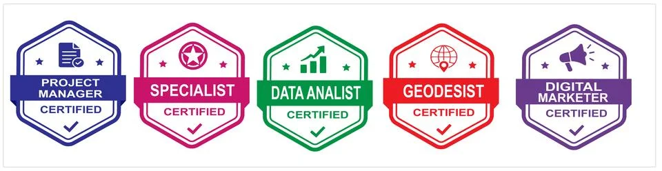 Professional Certification Badges for Project Manager Data Design Illustration