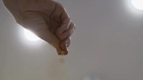 Professional chef adding spices to a pan with a dish, close-up Stock-Footage 301323392