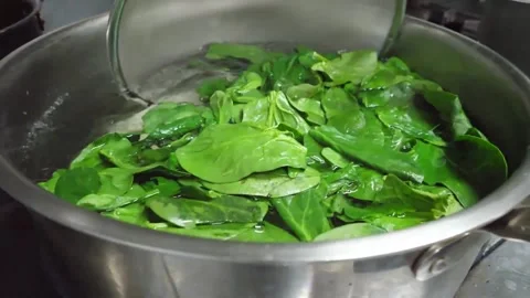 Professional Chef Boiling Fresh Spinach in a Pot for Authentic Italian Pizza Top Stock Footage 337678144