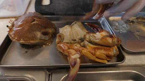Professional Chef Breaking Down Fresh Dungeness Crab for Gourmet Italian Pizza P Stock Footage 337677351