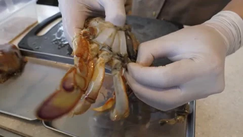 Professional Chef Preparing Fresh Blue Crab for Authentic Italian Seafood Pizza Stock Footage 337677338