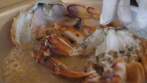 Professional Chef Preparing Fresh Seafood Italian Pizza with Crab and Lobster - Stock Footage 337677402