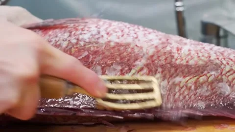 Professional Chef Scaling Fresh Red Sea Perch Close-up Stockbeeldmateriaal 333568886