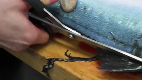 Professional Chef Slicing Fresh Rainbow Trout Fillet on Wooden Board Stock Footage 333524742
