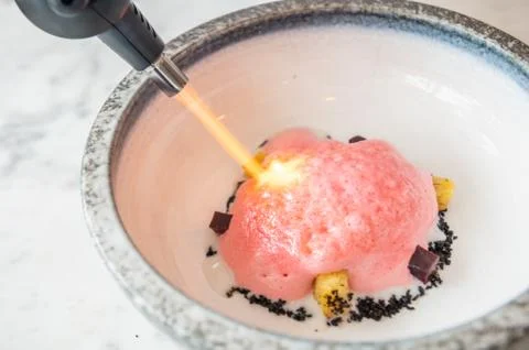 Professional chef using a kitchen torch in a dish of tasty gastronomy Stock Photos