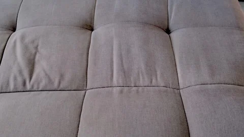 Professional cleaner hands using vacuum cleaner to remove dust stains from sofa. Stock Footage 311799121