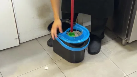 Professional cleaner wringing a mop in a bucket Vídeos de archivo 344100325