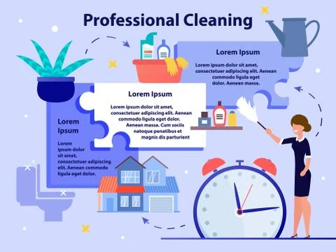 Professional Cleaning Flat Vector Promo Poster Stock Illustration