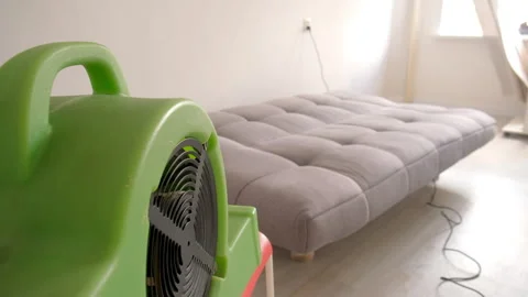 Professional cleaning service drying sofa couch using industrial fan. Stock Footage 311801390