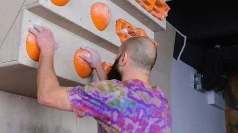 Professional climber performs exercises on training bouldering wall. 1080p video Stock Footage 77803445